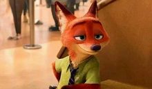 狐狸中计了_450字