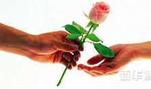 [七月浅谈] 既能予人玫瑰，何须手有余香？_1500字