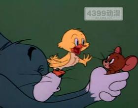 猫和鼠标_300字