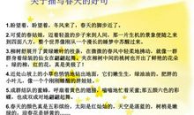 老师好段好句：描写教师节的好句好段（四）_1500字