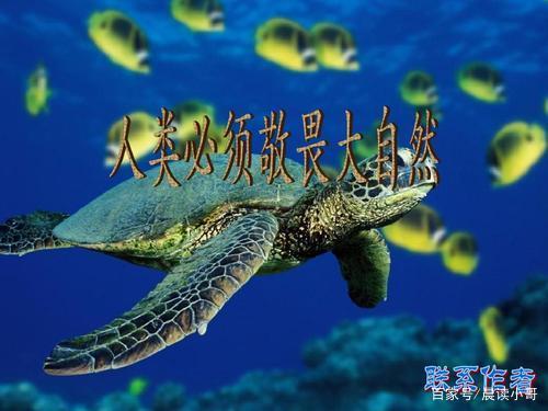 自然的惩罚_800字