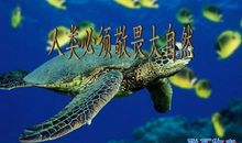 大自然的惩罚_800字