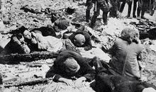 战争的可怕_450字