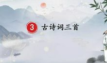明月易安，月明亦安_900字