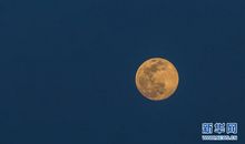 关于月亮的作文：守得云开见月明_800字