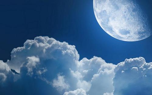 月亮上的构图：多年来的流动，花朵绽放，错误_1200字