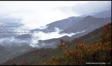 石家庄一游_650字