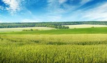 卸下承重包袱，放眼辽阔蓝天_750字