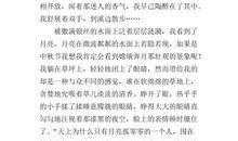 关于月亮的作文：路上泛起的点点月光_800字