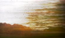 天空没有飞鸟_800字