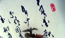 安安带给我的温暖_600字