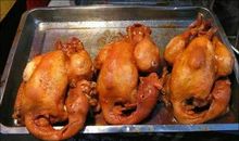 鸡妈妈“望子成鸭”_600字