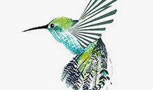 带我飞翔的翅膀_900字