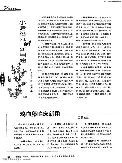 开幕是有益的 - 书中的家庭_1000字