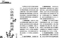 开卷有益——书中的家园_1000字