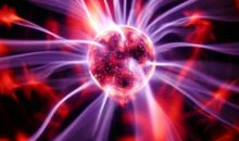 关于闪电的作文：我家的新成员“闪电”_550字