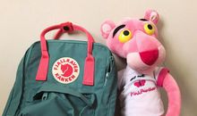 我的小书包_300字