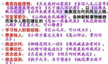 关于坚强的作文：乘风破浪_750字