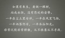 一棵树的哭泣_1000字