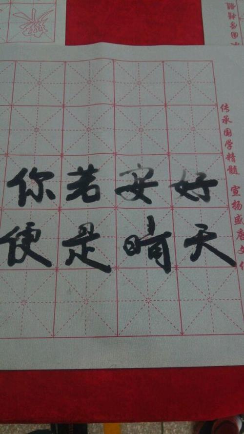 我是这个人_900字