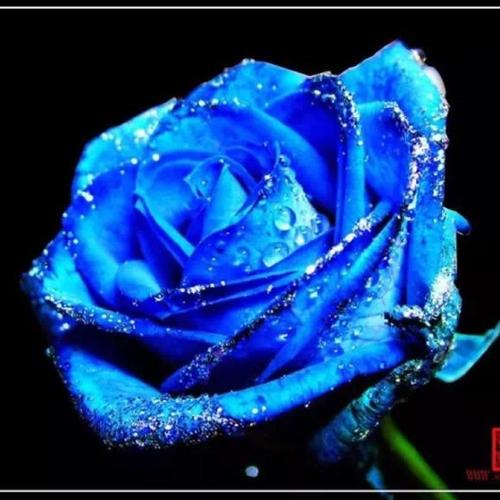 个人赢家_1500字