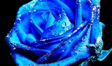 引人入胜的书_1500字