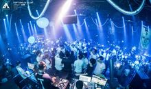 叶，也有它的秘密_1500字