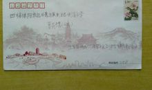 写给四川小朋友的一封信_550字