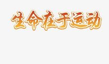 特别的一次校运会_650字