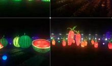 沁园春·梦江南_100字