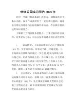 物流企业实习报告_3000字