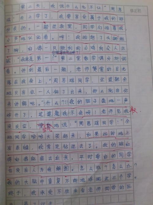 如果我是副总统_300字