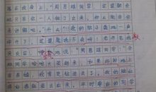 假如我是副社长_300字