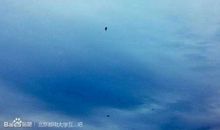 人生的起点_600字