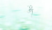 阳光走过瞬间_900字