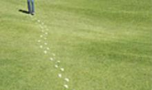 人生的脚印_750字