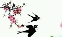 小燕子回家了_600字