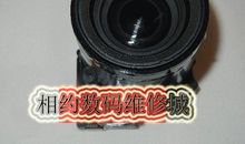 看鸟去——未来一镜头_650字