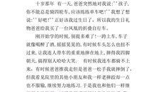 打鸟的启示_500字