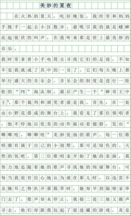 迷人的夏夜_600字
