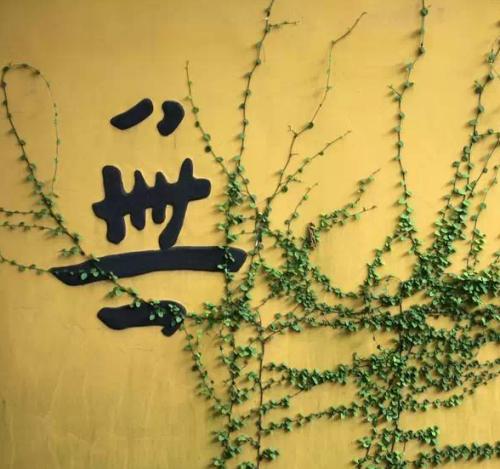 不能说话