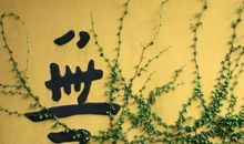 不能言而能不言