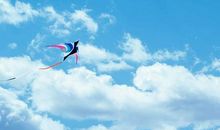 那……远处的光_550字