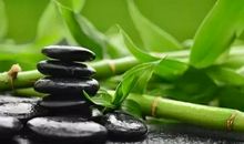 找回自我地滋味_550字