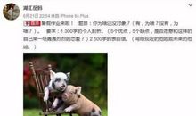 简单粗暴不是爱_500字