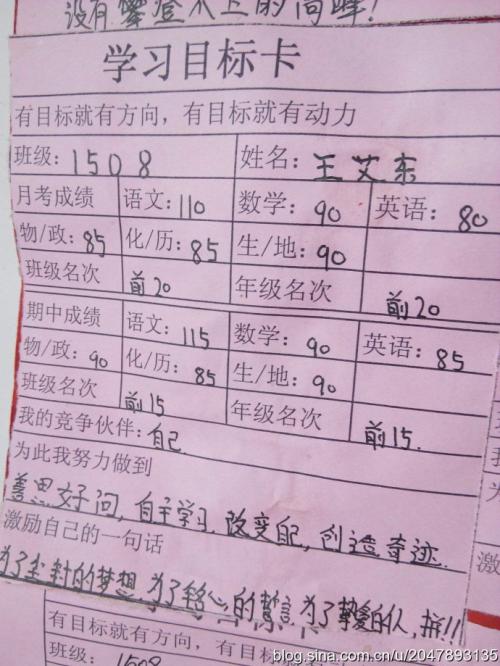 目标上的构成：达到目标_350字