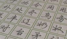 当笔杆遇上键盘_750字