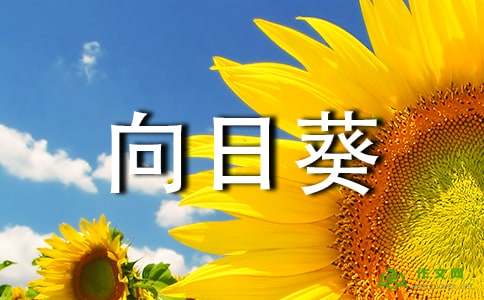 谁是技能？ _350字