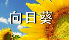 谁的本领大?_350字