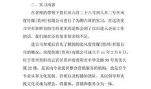 2015大学生法院实习总结范文